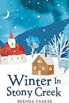 Winter In Stony Creek