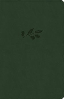 KJV Personal Size Giant Print Bible, Olive Indexed