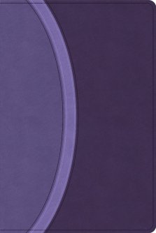 CSB Rainbow Study Bible, Purple Leathertouch