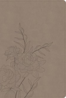 CSB Large Print Thinline Bible, Digital Study Edition