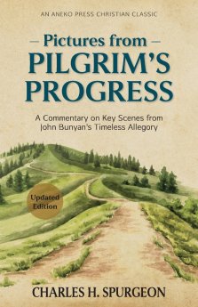 Pictures from Pilgrim's Progress: A Commentary on Key Scenes from John Bunyan's Timeless Allegory
