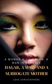 A Woman with a Plan, A Man in Trouble: Hagar, A Maid and a Surrogate Mother
