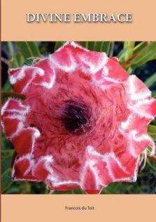 DIVINE EMBRACE New, 30 Chapter, 458page Revised Edition