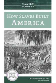 How Slaves Built America