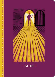The Biggest Story Scripture Journal for Kids: Acts (ESV)