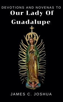 Devotions And Novenas To Our Lady Of Guadalupe