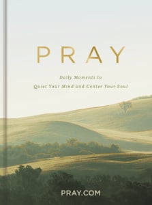 Pray ​: Daily Moments to Quiet Your Mind and Center Your Soul​