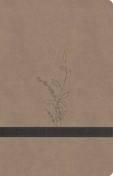 KJV Large Print Personal Size Reference Bible, Earthen Suede