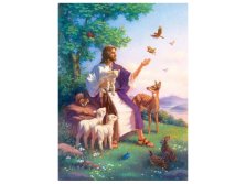 Love For All Jigsaw Puzzle - 500 Pieces