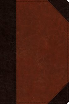ESV Wide Margin Reference Bible, Red Letter (TruTone, Brown/Cordovan, Portfolio Design)