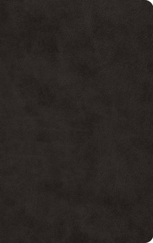 ESV Large Print Value Thinline Bible (TruTone, Black)