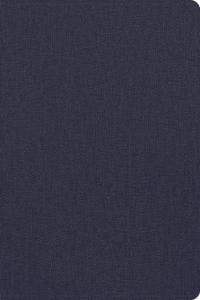 CSB Men's Daily Bible, Blue
