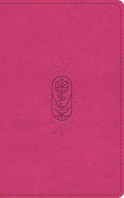 ESV Holy Bible for Kids (TruTone, Berry, The True Vine Design)