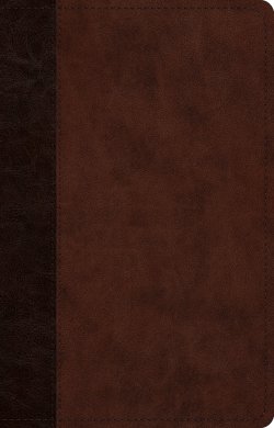 ESV Large Print Thinline Reference Bible, Red Letter (TruTone, Brown/Walnut, Timeless Design)