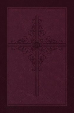 Passion Translation New Testament 2020 Edition, Burgundy