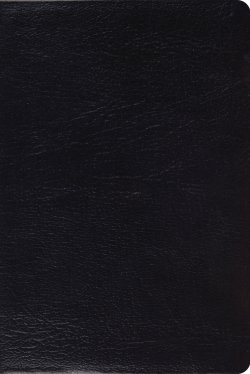 ESV Study Bible, Personal Size Genuine Leather, Black