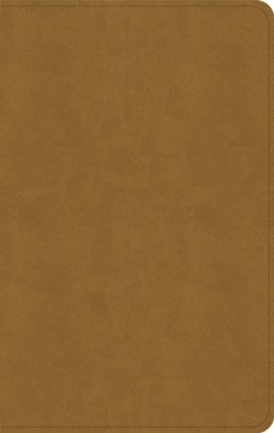 KJV Personal Size Bible, Camel Suedesoft