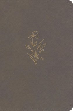 KJV Large Print Compact Reference Bible, Clay