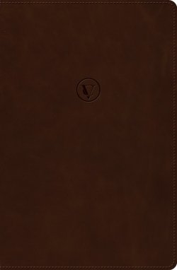 RVR 1960 Biblia de Estudio de César Vidal, Café Símil Piel