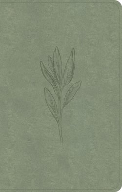 CSB Personal Size Bible, Sage Suedesoft