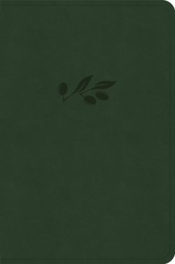CSB Large Print Compact Reference Bible, Digital Study Ed.