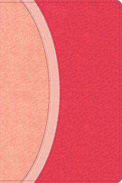 CSB Rainbow Study Bible, Pink Leathertouch (Limited Edition)