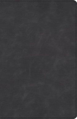 CSB Large Print Personal Size Reference Bible, Slate