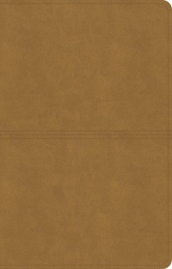 CSB Thinline Reference Bible, Digital Study Edition, Camel