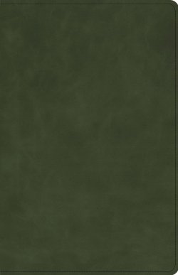 CSB Large Print Personal Size Reference Bible, Olive