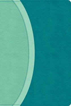 CSB Rainbow Study Bible, Teal Leathertouch (Limited Edition)