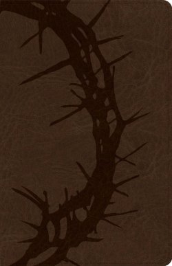CSB Large Print Personal Size Reference Bible, Brown