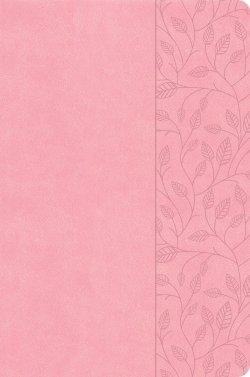 CSB Large Print Thinline Bible, Value Edition, Soft Pink