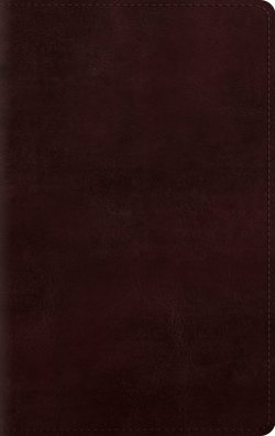 ESV Giant Print Personal Size Bible, Red Letter (TruTone, Mahogany)