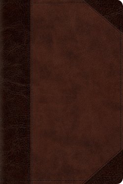 ESV Personal Size Reference Bible, Red Letter (TruTone, Brown/Walnut, Portfolio Design)