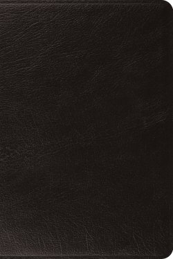 ESV Personal Size Reference Bible, Red Letter (Genuine Leather, Black)