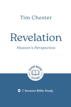 Revelation: Heaven's Perspective