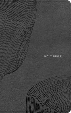 CSB Single-Column Compact Bible, Digital Study Edition