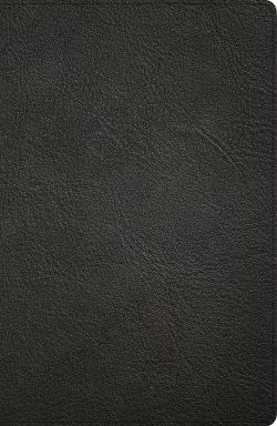 CSB Large Print Personal Size Reference Bible, Black