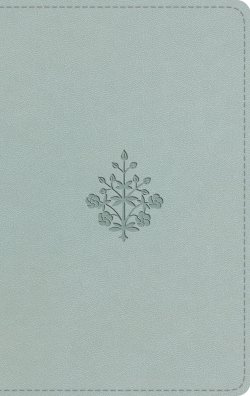 ESV Large Print Value Thinline Bible (TruTone, River Stone, Branch Design)