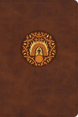 ESV The Biggest Story Holy Bible for Kids (TruTone, Brown, Living Hope Design, Thumb Indexed)