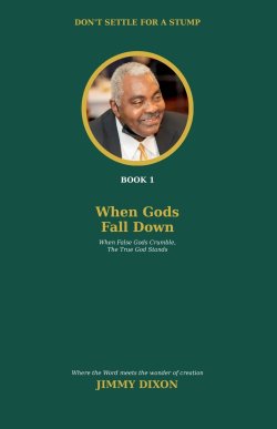 DON'T SETTLE FOR A STUMP   BOOK 1  When Gods Fall Down