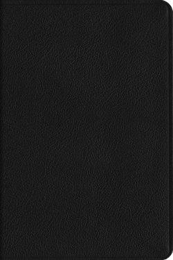 ESV Everyday Gospel Bible