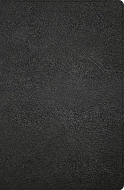 CSB Large Print Personal Size Reference Bible, Black