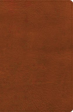 NASB Personal Size Giant Print Bible, Burnt Sienna