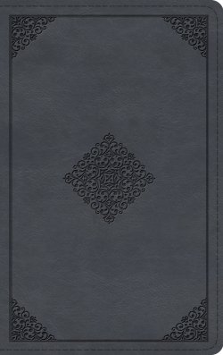 ESV Large Print Thinline Bible (TruTone, Azurite Blue, Ornament Design)