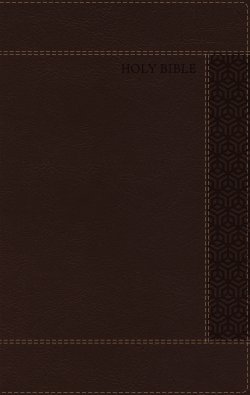NRSVue, Holy Bible with Apocrypha, Personal Size, Leathersoft, Brown, Comfort Print