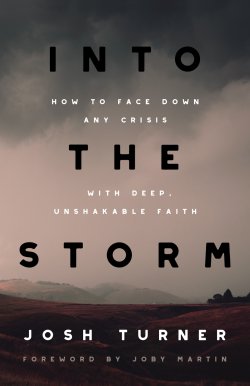 Into the Storm