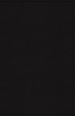 KJV, Reference Bible, Personal Size Giant Print, Genuine Leather, Black, Red Letter Edition