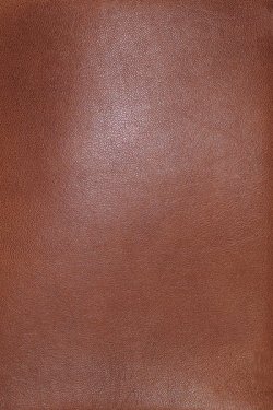 NASB, MacArthur Study Bible, Brown Premium Goatskin Leather, Premier Collection, 1995 Text, Comfort Print