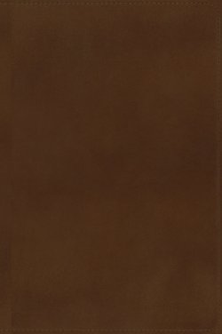 NKJV, End-of-Verse Reference Bible, Personal Size Large Print, Premium Goatskin Leather, Brown, Premier Collection, Red Letter, Comfort Print